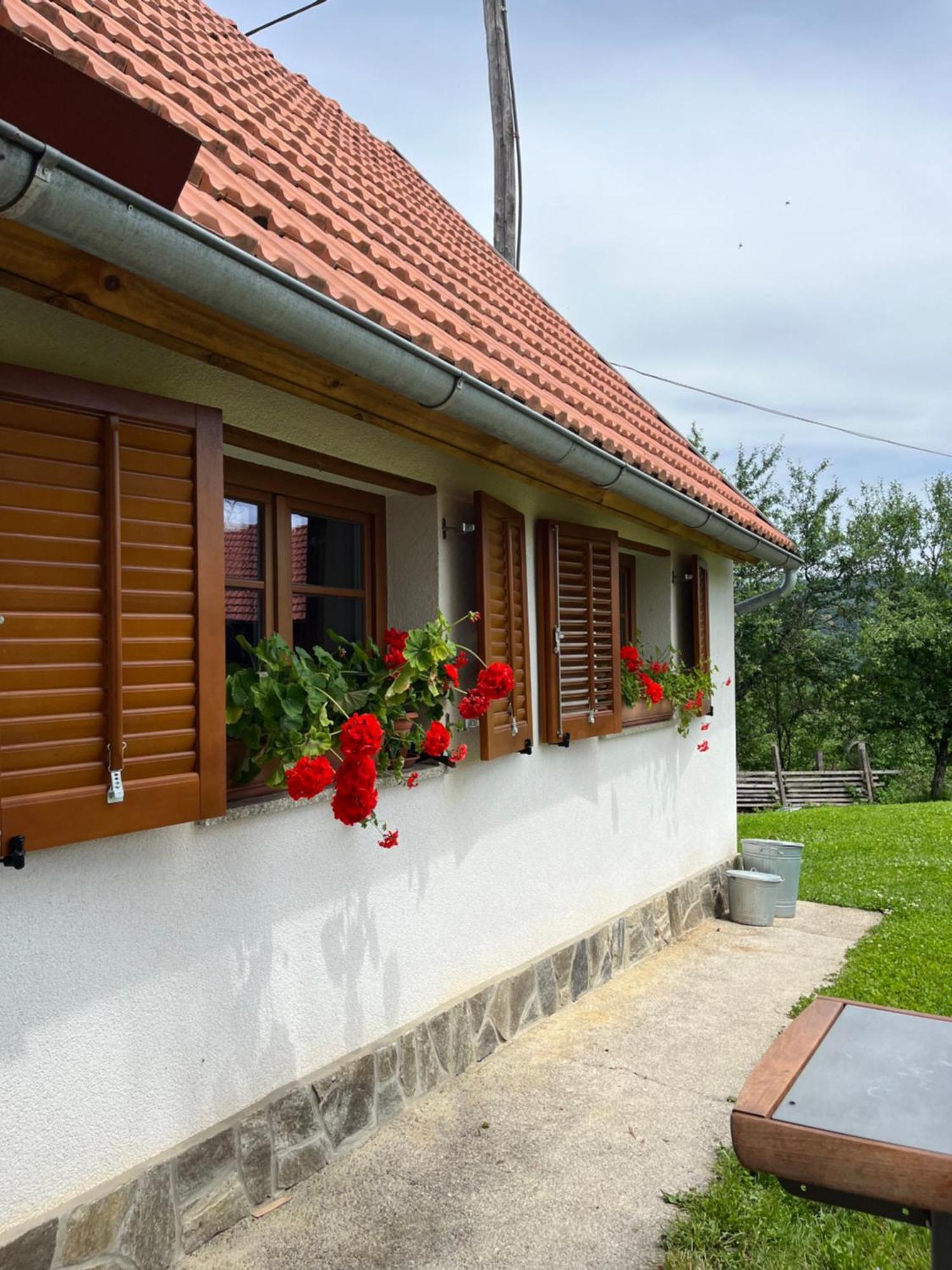 Domacija Brdar Villa Adlesici Bagian luar foto